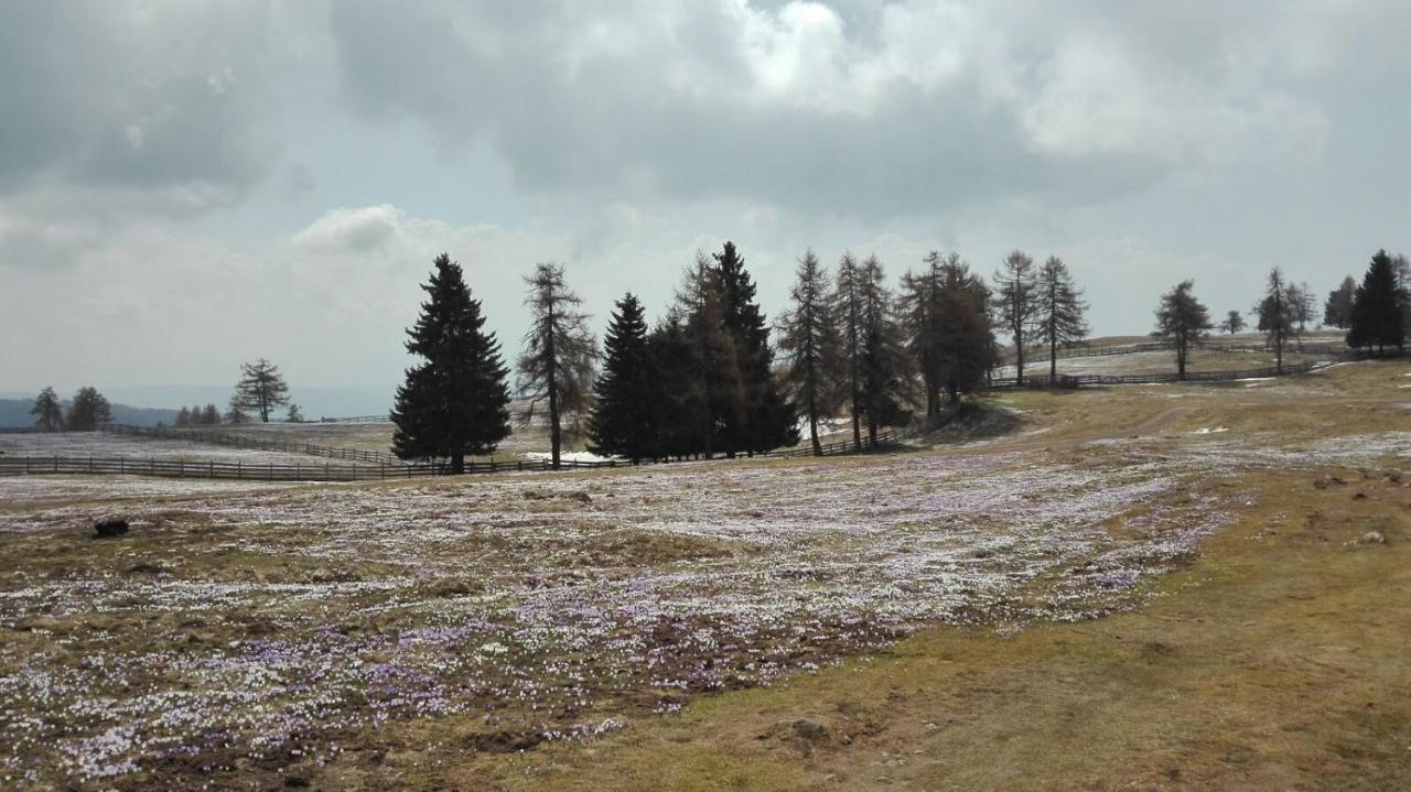 멜티나 Alpenrose 아파트 외부 사진