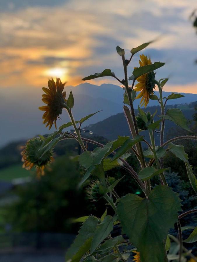 멜티나 Alpenrose 아파트 외부 사진